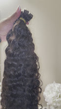 Load and play video in Gallery viewer, Preorder Burmese Curly tape-ins
